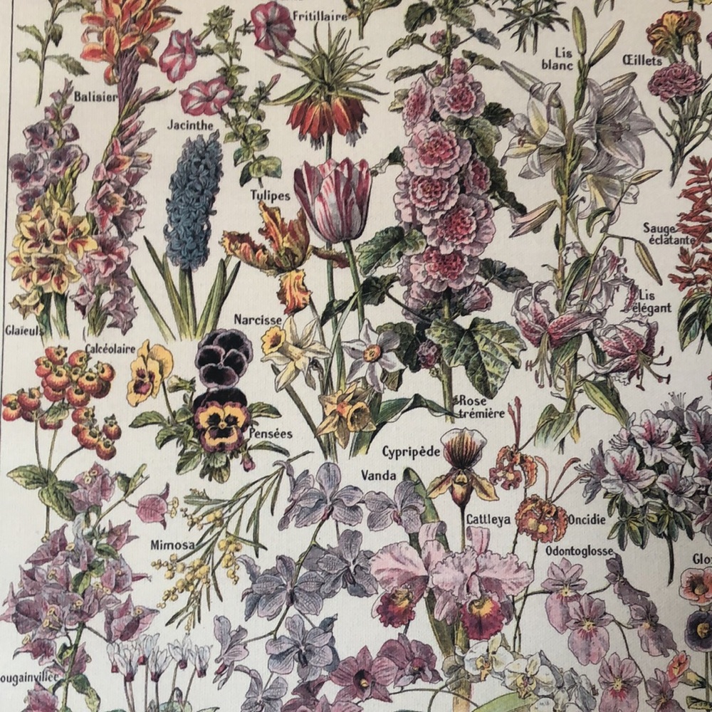 Beautiful Floral Wall Picture - Picture 3 of 3